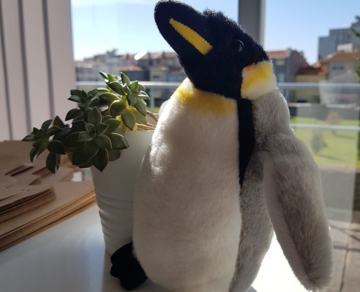 Adopt a penguin with WWF, the world’s leading independent conservation organization.