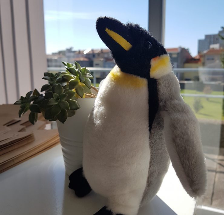 Adopt a penguin with WWF, the world’s leading independent conservation organization.