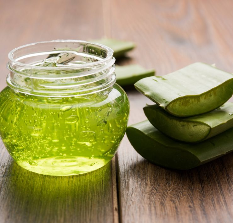 aloe pieces with jar of aloe gel