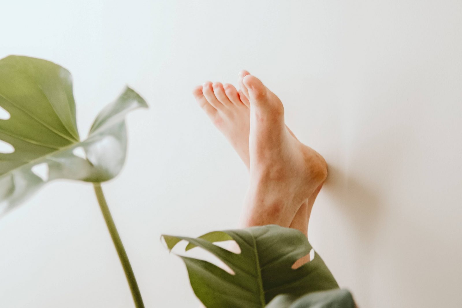 best-urea-foot-cream