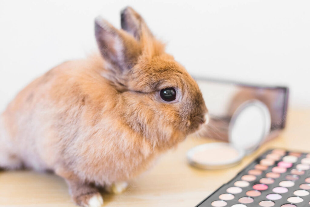 Does European Skincare Use Animal Testing? · Care to Beauty