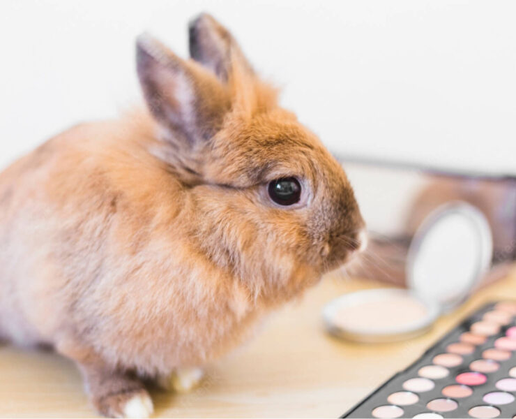 Does European Skincare Use Animal Testing?