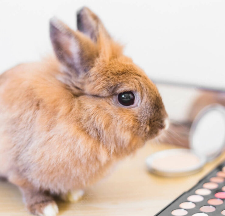 Does European Skincare Use Animal Testing?